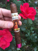 Regina Cigars Honduran Collection - "Michael" Corojo Wrapper